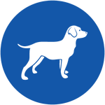 Собака: Гороскоп на 2019 год