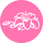 Лилия в цветочном гороскопе