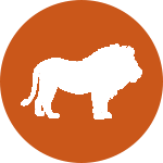 Лев в индийском гороскопе