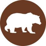Медведь: Характеристика в славянском гороскопе животных