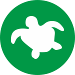 Озерная черепаха: в тибетском гороскопе
