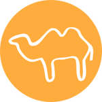 Верблюд: Характеристика в зороастрийском гороскопе